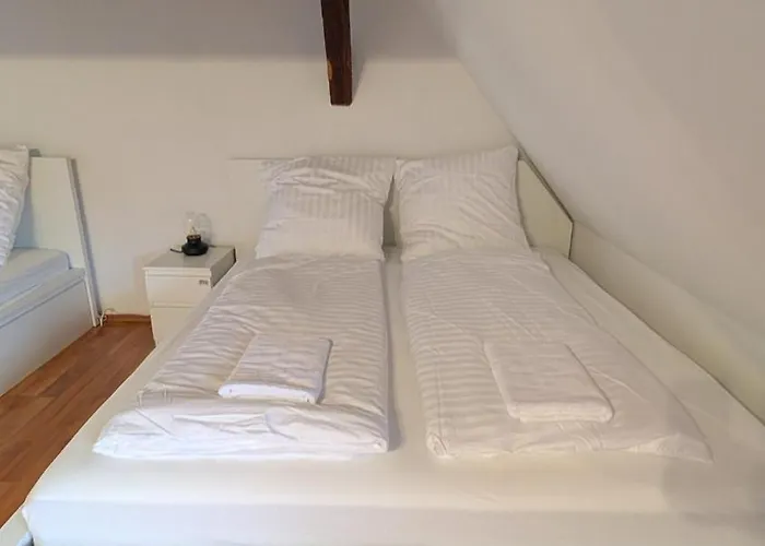 Triple In A Historic Half-timbered House *